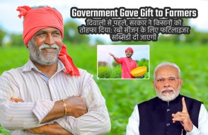 Government Gave Gift to Farmers in Hindi: दिवाली से पहले सरकार ने किसानों को दिया तोहफा, रबी सीजन के लिए फर्टिलाइजर सब्सिडी दी जाएगी