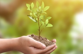 Rajasthan Farmers' loan waived off In Hindi : राजस्‍थान में 59 हजार से ज्‍यादा किसानों का कर्ज हुआ माफ