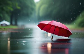 Weather Warning Heavy Rain in South India in Hindi : मौसम चेतावनी दक्षिण भारत में भारी बारिश और मछुआरों के लिए सावधानी