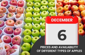 Prices of Different Varieties of Apples 06 December in Hindi: दिसम्बर 2023 को सेब के विभिन्न वारायटीज के मूल्य एंव आवक