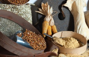 Up Government Farmers For Millets Store In Hindi: यूपी सरकार का किसानों के लिए मिलेट्स स्टोर खोलने पर 20 लाख तक का अनुदान