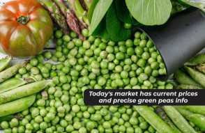 Market Price of Green Peas in Hindi: हरे मटर का आज का मंडी भाव और सटीक जानकारी