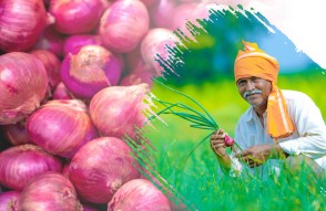Dramatic Drop in Onion Prices in Hndi: प्याज के भाव में तेज़ गिरावट से किसानों को बड़ा झटका
