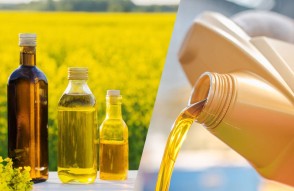 Mustard oil Mandi Prices in Uttar Pradesh Market in Hindi: उत्तर प्रदेश मंडी में सरसों तेल के भाव से जुड़ी रोचक बातें