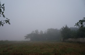 Weather Updates North India 28 to 31 December in Hindi: उत्तर भारत में छाया घना कोहरा बारिश और तापमान में बदलाव की उम्मीद