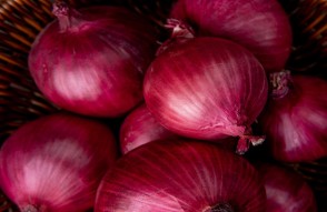 Bengal Will Cultivate Onion in Kharif Season in Hindi: बंगाल में किसान करेंगे खरीफ सीजन में प्याज की खेती, सरकार उठाने जा रही ये कदम, जानें