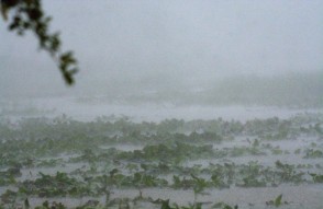 Weather Update 05 January 2024  in Hindi: गतिशील मौसम वर्षा बर्फबारी और घना कोहरा 05 से 09 जनवरी 2024