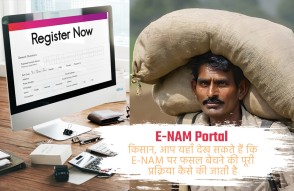 E-NAM Portal in Hindi: E-NAM पर फसल बेचने का तरीका जान लें किसान, ये है पूरी प्रक्रिया