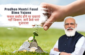 Pradhan Mantri Fasal Bima Yojana in Hindi: फसल बर्बाद होने पर घबराएं नहीं किसान, जानें कैसे पाएं मुआवजा