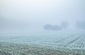 Weather Update Today 16 January 2024 in Hindi: दिल्ली से पंजाब-हरियाणा तक शीतलहर और कोहरे का प्रकोप जारी है, मौसम विभाग ने इन हिस्सों में कोल्ड डे जारी किया