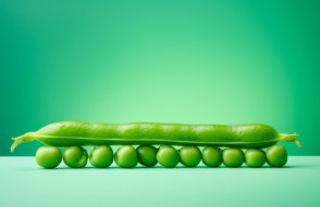 Green Peas Mandi Price Today in Hindi: 17 जनवरी 2024 महाराष्ट्र में हरे मटर का मंडी भाव, महाराष्ट्र में हरि मटर के बाजार में बढ़ोतरी