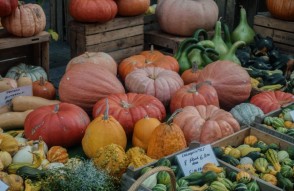 Pumpkin Mandi Price Today in Hindi:18 जनवरी 2024 को गुजरात के विभिन्न मंडीयों में कद्दू का मंडी भाव