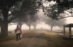 Weather Update 19 January 2024 in Hindi: पूरे उत्तर भारत में जारी रहेगा कोहरे का कहर, और हरियाणा-हिमाचल प्रदेश में अलग-अलग इलाकों में बर्फीली ठंडी हवाएं चलेंगी
