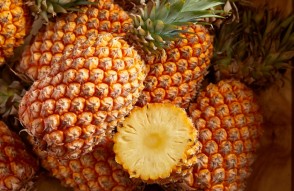 Pineapple Mandi Price Today in Hindi: 20 जनवरी 2024 को राजस्थान में अनानास मंडी भाव, जानिये राज्सथान में अनानास क्या रेट हैं