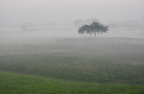 Weather Update Today 22 january 2024 in Hindi: उत्तर भारत में अभी कुछ दिन और नहीं मिलेगी ठंड से राहत, सर्दियों की पकड़ मजबूत, शीत लहर, कोहरा और बारिश का पूर्वानुमान