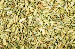 Fennel Mandi Price Today in Hindi: 22 जनवरी 2024 को गुजरात के मंडी में सोंफ का भाव, जानिये गुजरात में सोंफ के क्या रेट हैं