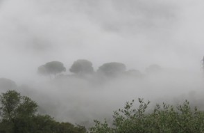 Weather Update Today 24 january 2024 in Hindi: उत्तरी भारत में ठंड का प्रकोप, शून्य से नीचे तापमान और घने कोहरे की चेतावनी