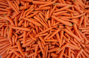 Carrot Mandi Prices Today in Hindi: 27 जनवरी 2024 को राजस्थान के जालोर, श्रीगंगानगर, और उदयपुर में गाजर का मंडी भाव आज का