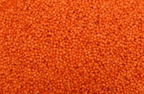 Lentil Mandi Price Today in Hindi: 29 जनवरी 2024 को उत्तर प्रदेश में मसूर दाल का मंडी भाव, जानिये  यूपी की मंडी में मसूर दाल का क्या भाव चल रहें है