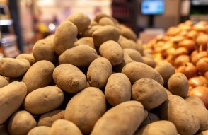 Potato Mandi Prices Today in Hindi: 29 जनवरी 2024 को भारतीय मंडियों में आलू का मंडी भाव