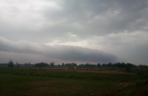 Weather Update Today 31 January 2024 in Hindi: दिल्ली,पंजाब,चंडीगढ़ और हरियाणा,में हल्की बारिश की सम्भावना