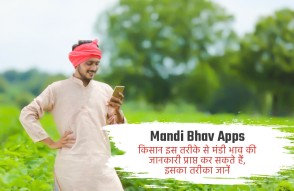 Mandi Bhav Apps in Hindi: किसान भी चेक कर सकते हैं मंडी भाव, जानें इसका तरीका