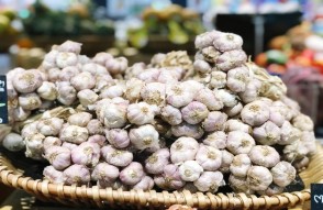 Garlic Mandi Price Today in Hindi: 01 फरवरी 2024 को लहसुन का मंडी भाव, जानिये मध्य प्रदेश में लहसुन के क्या भाव हैं