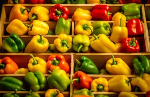 Capsicum Mandi Bhav Today in Hindi: 02 फरवरी 2024 को दिल्ली एनसीआर की आजादपुर मंडी में शिमला मिर्च का मंडी भाव