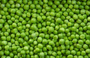 Peas Mandi Bhav Today in Hindi: 02 फरवरी 2024 को मटर के भाव में तेजी, मध्य प्रदेश, महाराष्ट्र और गुजरात में मटर महंगा, जानिए कैसे