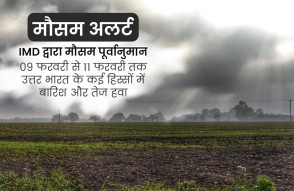 Weather Update Today 08 February 2024 in Hindi: IMD द्वारा मौसम पूर्वानुमान, उत्तर भारत के कई हिस्सों में और होगी बारिश, किसान करें ये काम