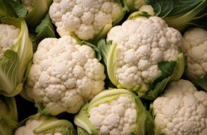 Cauliflower Mandi Bhav Today in Hindi: 09 फरवरी 2024 को मध्यप्रदेश और उत्तर प्रदेश के मंडीयों  में फूल गोभी का मंडी भाव आज का