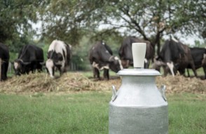 Himachal Budget Session in Hindi: हिमाचल दूध उत्पादकों के लिए कर रियायतें, राज्य बजट में नई कृषि योजनाएं