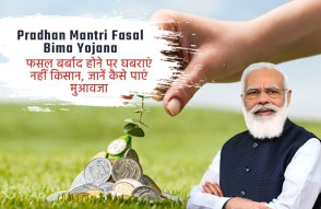 Pradhan Mantri Fasal Bima Yojana in Hindi: किसान घर बैठे कर सकते हैं अपनी फसल का बीमा, जानें पूरी प्रक्रिया