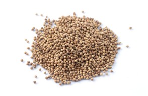 Dhaniya Seeds Mandi Bhav Today in Hindi: गुजरात और महाराष्ट्र में धनिया बीज का मंडी भाव आज का (14 फ़रवरी 2024)