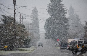 Weather Update Today 20 February 2024 in Hindi: 20 से 23 फरवरी तक इन राज्यों में होगी बारिश, बर्फबारी और तूफान, आज का मौसम पूर्वानुमान