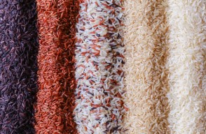 Rice Mandi Bhav Today in Hindi: उत्तर प्रदेश में चावल का मंडी भाव आज का (23 फरवरी 2024)