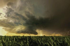 Delhi Weather Update Today 29 February 2024 in Hindi, 01 से 03 मार्च के बीच, हरियाणा-पंजाब और दिल्ली समेत 5 राज्यों में भारी बारिश, ओले का ऑरेंज अलर्ट, जानें अपने इलाके के मौसम का हाल