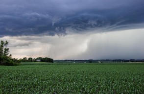 UP and Delhi Weather Update Today 02 March 2024 in Hindi, फिर बदलेगा यूपी का मौसम और दिल्ली एनसीआर में सुबह सुबह बरसे बादल, जानें कैसा रहेगा दिल्ली में आज का मौसम