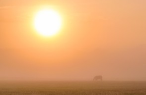 Delhi Weather Update Today 05 March 2024 in Hindi, दिल्ली से हैदराबाद तक तापमान में बदलाव, जानिए आज उत्तर प्रदेश में क्या है आज का मौसम