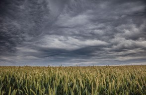 Delhi Weather Update Today 06 March 2024 in Hindi, दिल्ली-गाजियाबाद और फरीदाबाद में छाए रहेंगे बादल, आपके शहर में मौसम का हाल कैसा है जानिए