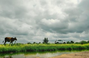 Jammu-Kashmir Weather Update Today 08 March 2024 in Hindi, 08 से 14 मार्च तक इन राज्यों में होगी बारिश, अगले 5 दिनों के लिए मौसम पूर्वानुमान