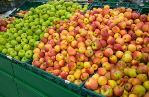 Apple Mandi Bhav Today in Delhi and Rajasthan in Hindi, दिल्ली और राजस्थान में सेब के विभिन्न वैरायटी का मंडी भाव आज का (08 मार्च 2024)