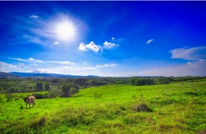 Uttar Pradesh and Delhi Weather Update Today 09 March 2024 in Hindi, जाने 09 मार्च को कैसा रहेगा उत्तर प्रदेश का मौसम, दिल्ली में 09 मार्च को तेज हवाएं चलेंगी