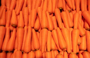 Carrot Mandi Rates Today in Uttar Pradesh and Madhya Pradesh in Hindi, उत्तर प्रदेश और मध्य प्रदेश में गाजर का मंडी भाव आज का (09 मार्च 2024)