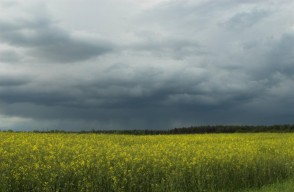 Weather Update Today 11 March 2024 in Hindi, 11 से 14 मार्च तक इन पहाड़ी इलाकों में होगी बारिश, अगले 5 दिनों के लिए मौसम पूर्वानुमान