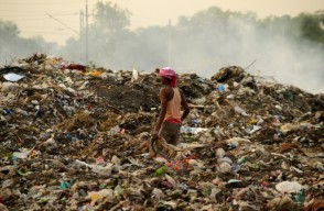 भारत में 5 देश कीटनाशकों और प्लास्टिक से प्रदूषण को रोकेंगे, 379 मिलियन डॉलर के फंड से होगा ये अहम उपाय