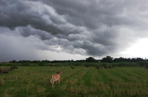 Heavy Rain and Hail Threaten Madhya Pradesh and Chhattisgarh on 18 March 2024, Weather in Madhya Pradesh 5 Days