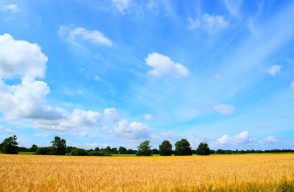 Delhi and Uttar Pradesh Weather Update Today 18 March 2024 in Hindi: दिल्ली में अब गर्मी करेगी परेशान, जाने दिल्ली और उत्तरप्रदेश में 18 मार्च का मौसम कैसा रहेगा