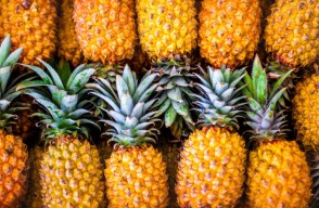 Pineapple Market Rate Today in Various of Delhi, Haryana, Punjab, Rajasthan, and Uttar Pradesh on (19 March 2024)