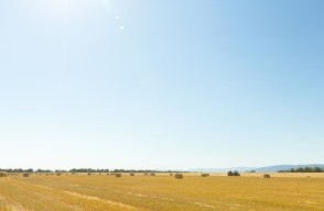 Uttar Pradesh Weather Update Today 21 March 2024: High Winds Expected Across Uttar Pradesh, IMD Forecast